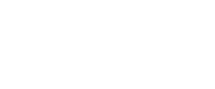 Logo groen direkt